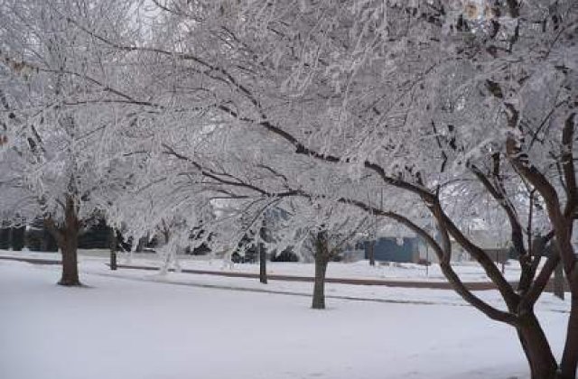 Ninsori si intensificari ale vantului in toata tara