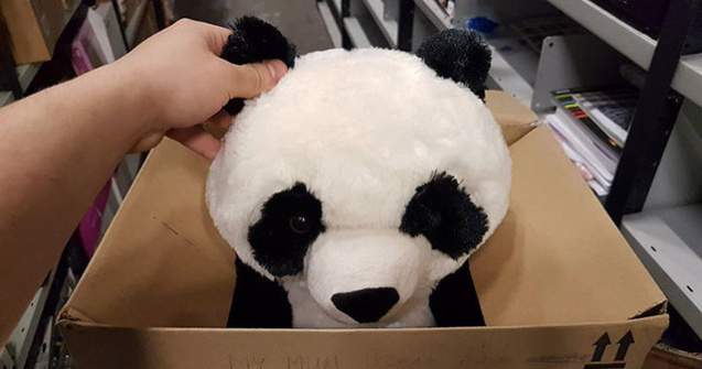  Foto  Mesajul emotionant lasat de un copil pe jucaria pe care mama nu si-a permis-o