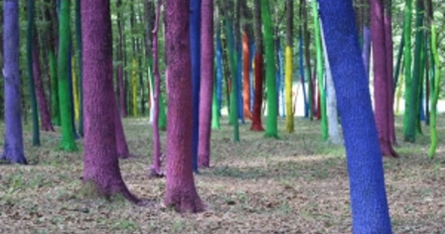 Gorj: Sute de copaci vopsiti pentru a atrage atentia asupra defrisarilor ilegale