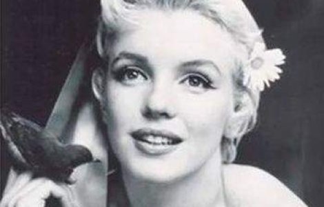 Marilyn Monroe si Elizabeth Taylor isi radeau parul de pe fata!