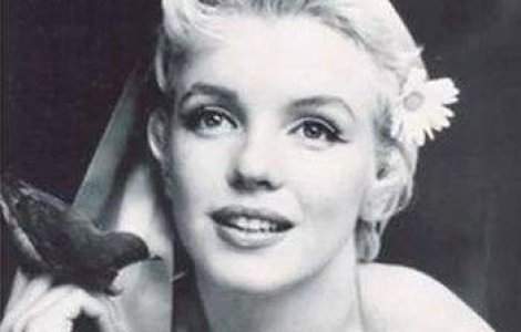 Marilyn Monroe si Elizabeth Taylor isi radeau parul de pe fata!