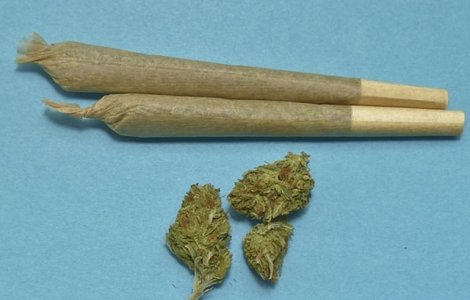 Grecia legalizeaza consumul de marijuana in scopuri medicinale