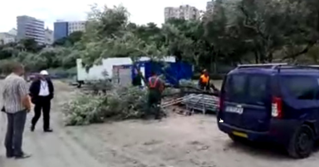 Copaci taiati pe plaja Modern din Constanta