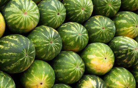 Ministrul Agriculturii, Petre Daea, cere etichete pentru pepeni