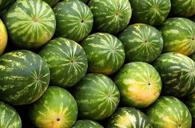 Ministrul Agriculturii, Petre Daea, cere etichete pentru pepeni