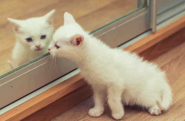 7 supersitii ciudate din diverse tari ale lumii