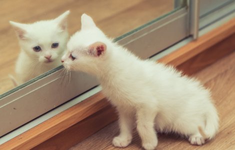  Top  7 supersitii ciudate din diverse tari ale lumii