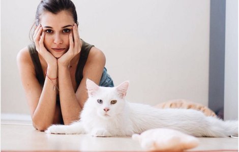  Foto  Tihon, pisica gigant care a strans peste 20.000 de fani pe Instagram