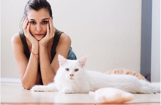 [Foto] Tihon, pisica gigant care a strans peste 20.000 de fani pe Instagram