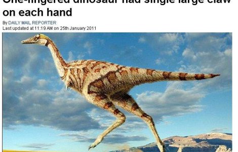 Dinozaur de marimea papagalului, descoperit in China