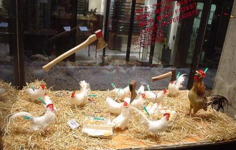 Cea mai mare regiune avicola din Japonia, afectata de gripa aviara