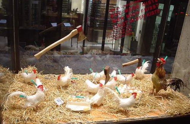 Cea mai mare regiune avicola din Japonia, afectata de gripa aviara