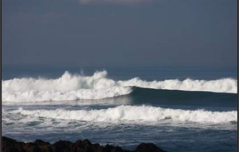 Un profesor roman a primit o bursa pentru a studia fenomenul tsunami