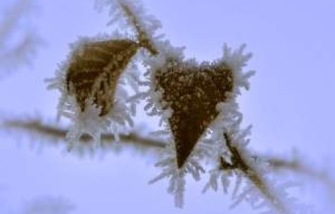 Ger de ingheata pietrele!