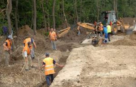 Magnatii romani doboara padurea Baneasa