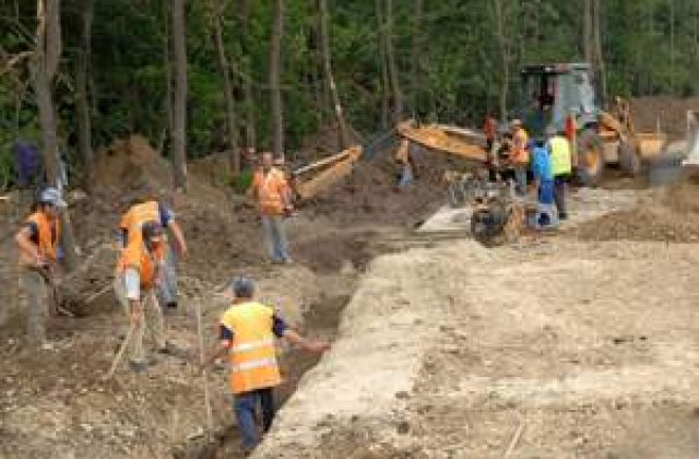 Magnatii romani doboara padurea Baneasa