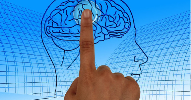 SUA investesc 65 de mil. de dolari pentru crearea unei interfete creier - computer care sa functioneze in ambele directii