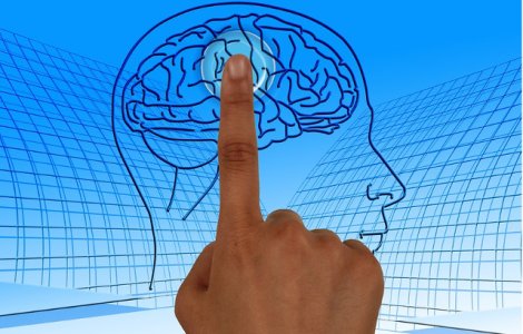 SUA investesc 65 de mil. de dolari pentru crearea unei interfete creier - computer care sa functioneze in ambele directii