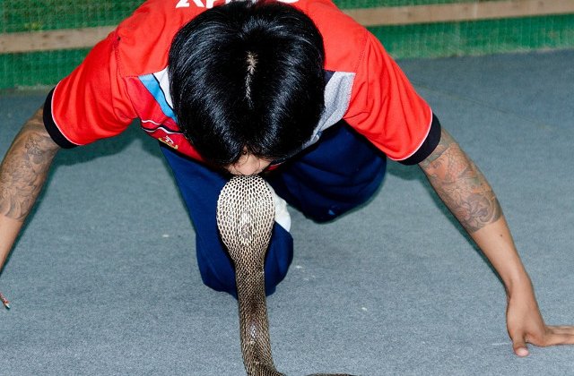 10 oameni care si-au pus viata in pericol de dragul unei fotografii