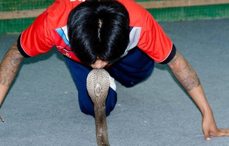  Top  10 oameni care si-au pus viata in pericol de dragul unei fotografii