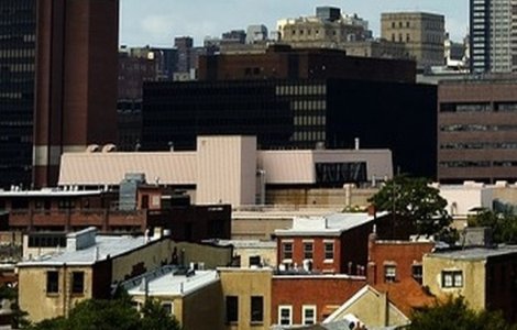 40 de imigranti romani cer azil in California. Localnicii se plang ca isi fac nevoile in public si ca omoara gaini