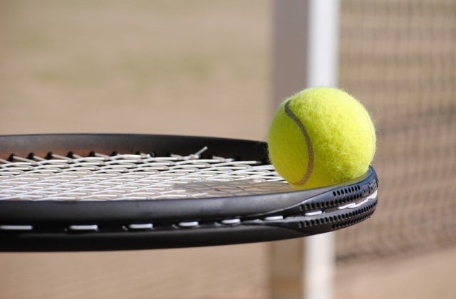 Niculescu si Chan au pierdut finala de dublu la Wimbledon