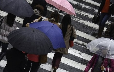 Protestul s-a incheiat. Manifestantii au pus catuse pe poarta sediului PSD si au lipit poza lui Soros langa sigla partidului