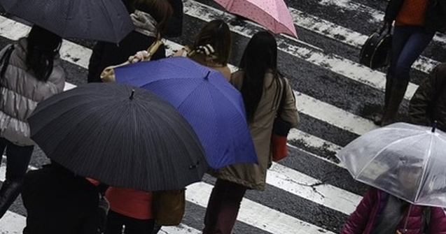 Protestul s-a incheiat. Manifestantii au pus catuse pe poarta sediului PSD si au lipit poza lui Soros langa sigla partidului