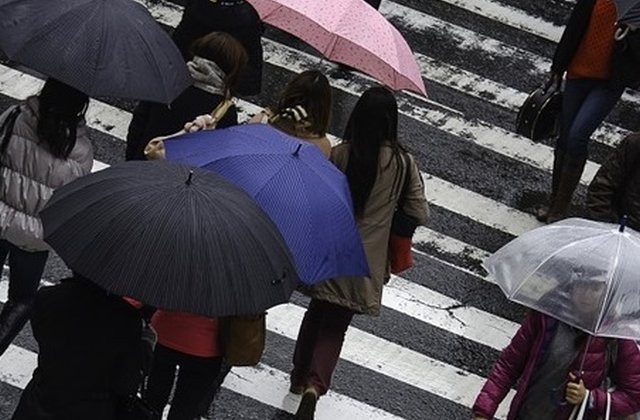 Protestul s-a incheiat. Manifestantii au pus catuse pe poarta sediului PSD si au lipit poza lui Soros langa sigla partidului