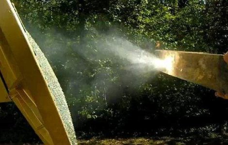 Un tanar a creat "raza mortii"