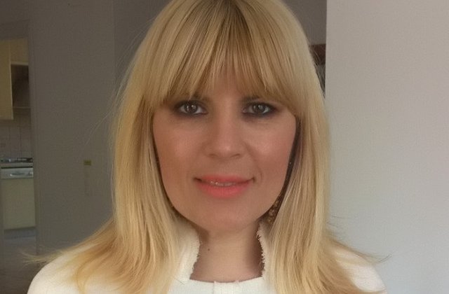 Elena Udrea: Ar trebui sa lasi omul sa plateasca sau sa munceasca in folosul comunitatii, sa-i iei banii si nu sa-l tii in puscarie