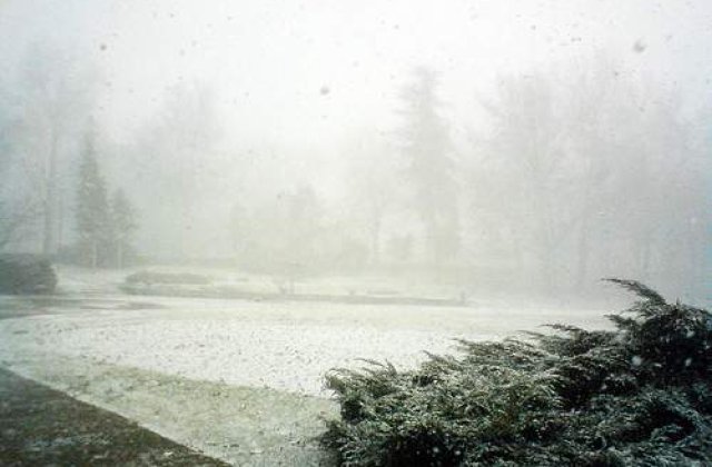 Furtuna de zapada in SUA: 10.000 de zboruri anulate