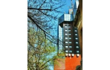  Top  Semne bune anul are, in imobiliare