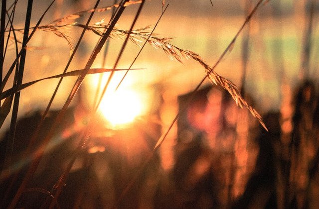 Avertizare meteo: Cod GALBEN de canicula pana duminica. Ce zone sunt vizate
