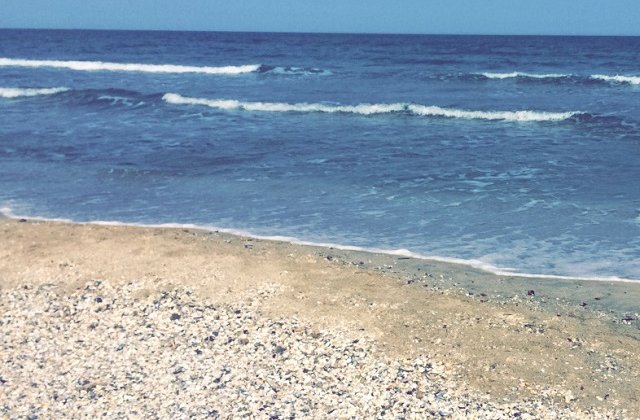 Turistii din Mamaia pot verifica in timp real temperatura apei, directia vantului si a curentilor marini