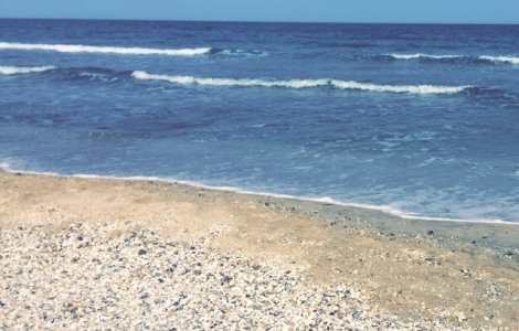 Turistii din Mamaia pot verifica in timp real temperatura apei, directia vantului si a curentilor marini