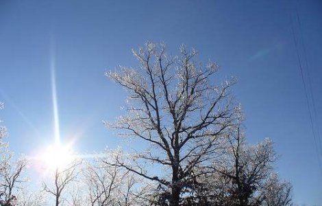 Vezi cum va fi vremea in weekend