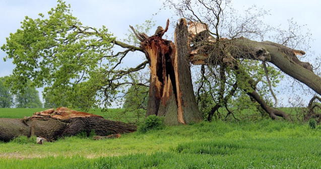 O persoana a murit si alte 16 au fost ranite in urma unei furtuni