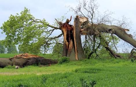 O persoana a murit si alte 16 au fost ranite in urma unei furtuni