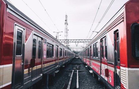 Un tren cu 700 de calatori a stationat doua ore dupa ce a lovit o vaca