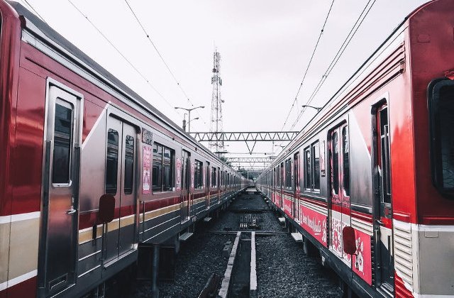 Un tren cu aproximativ 700 de calatori, care se indrepta spre Mangalia, a stationat doua ore dupa ce a lovit o vaca