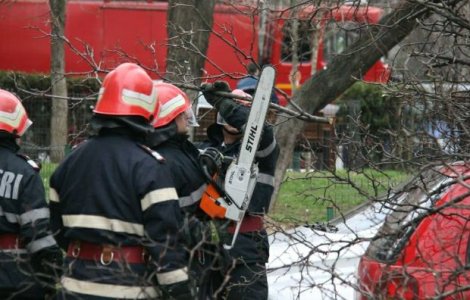 ISU: 33 de copaci cazuti in Bucuresti si Ilfov din cauza vantului, 13 autoturisme avariate