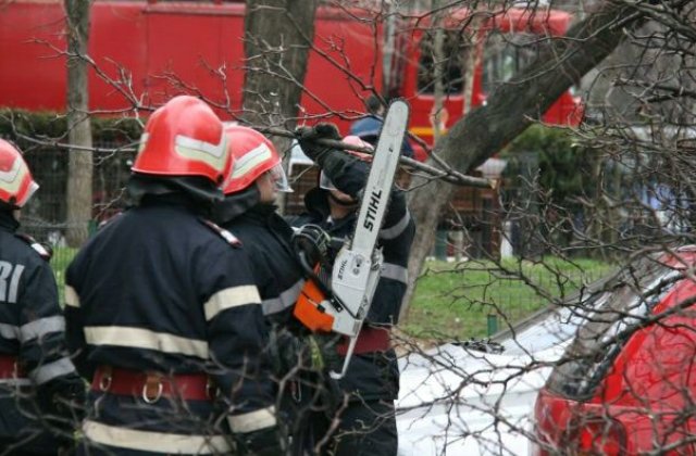 ISU: 33 de copaci cazuti in Bucuresti si Ilfov din cauza vantului, 13 autoturisme avariate