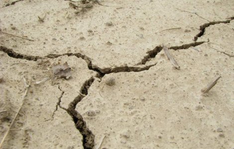 Cutremur de 5,6 grade in Chile