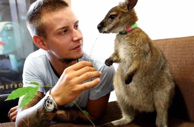 Un tanar din Cluj are drept animal de companie un cangur