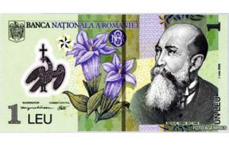 La 82 de ani, o batranica din Flamanzi primeste de la Stat un leu pe luna