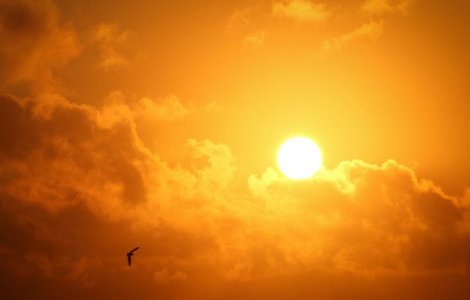 Cod galben de canicula, astazi. Temperaturile vor ajunge la 37 de grade