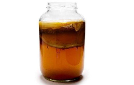 Kombucha, Ceaiul-Ciuperca sau licoarea vie a imortalitatii