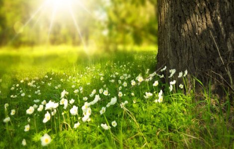 Avertizari de canicula in toata tara. Temperaturile vor ajunge la 39 de grade