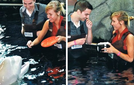  Top  7 cereri in casatorie care te vor uimi prin originalitatea lor